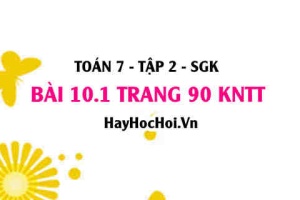 Bài 10.1 trang 90 Toán 7 Tập 2 Kết nối tri thức
